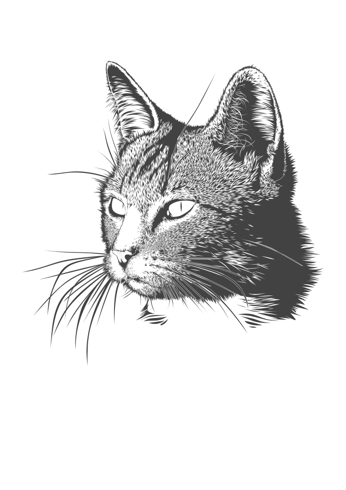 OnlineLabels Clip Art - a cat's head